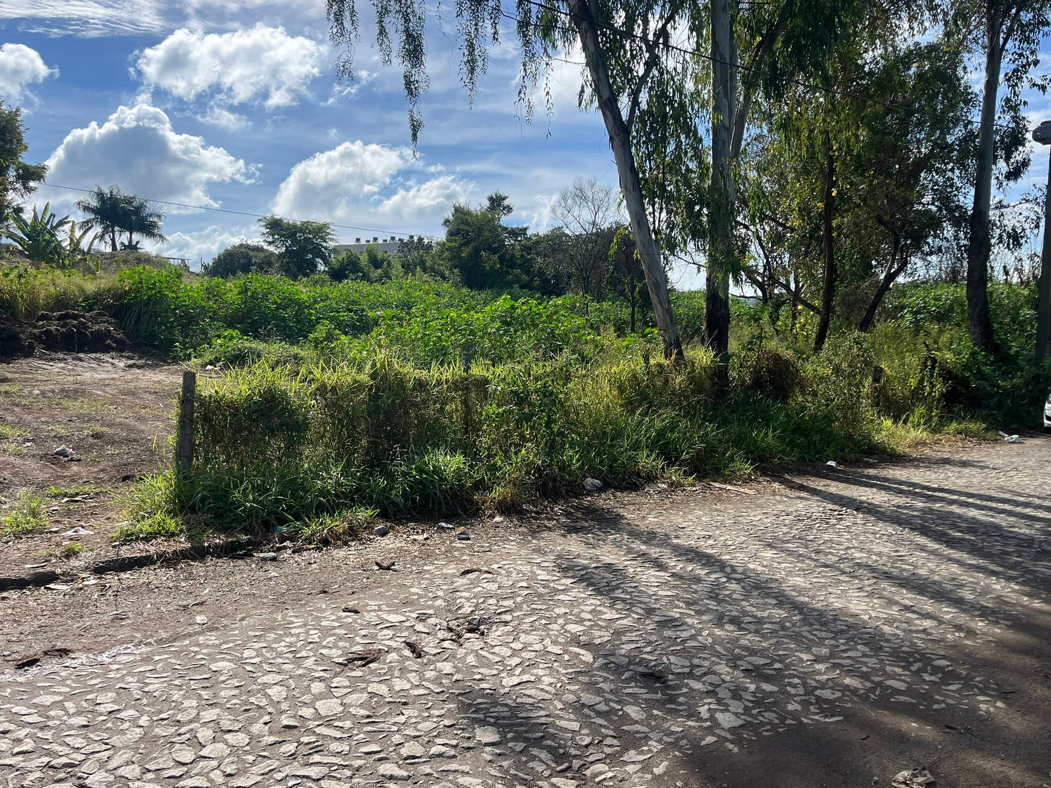 Lote Plano  - foto 4