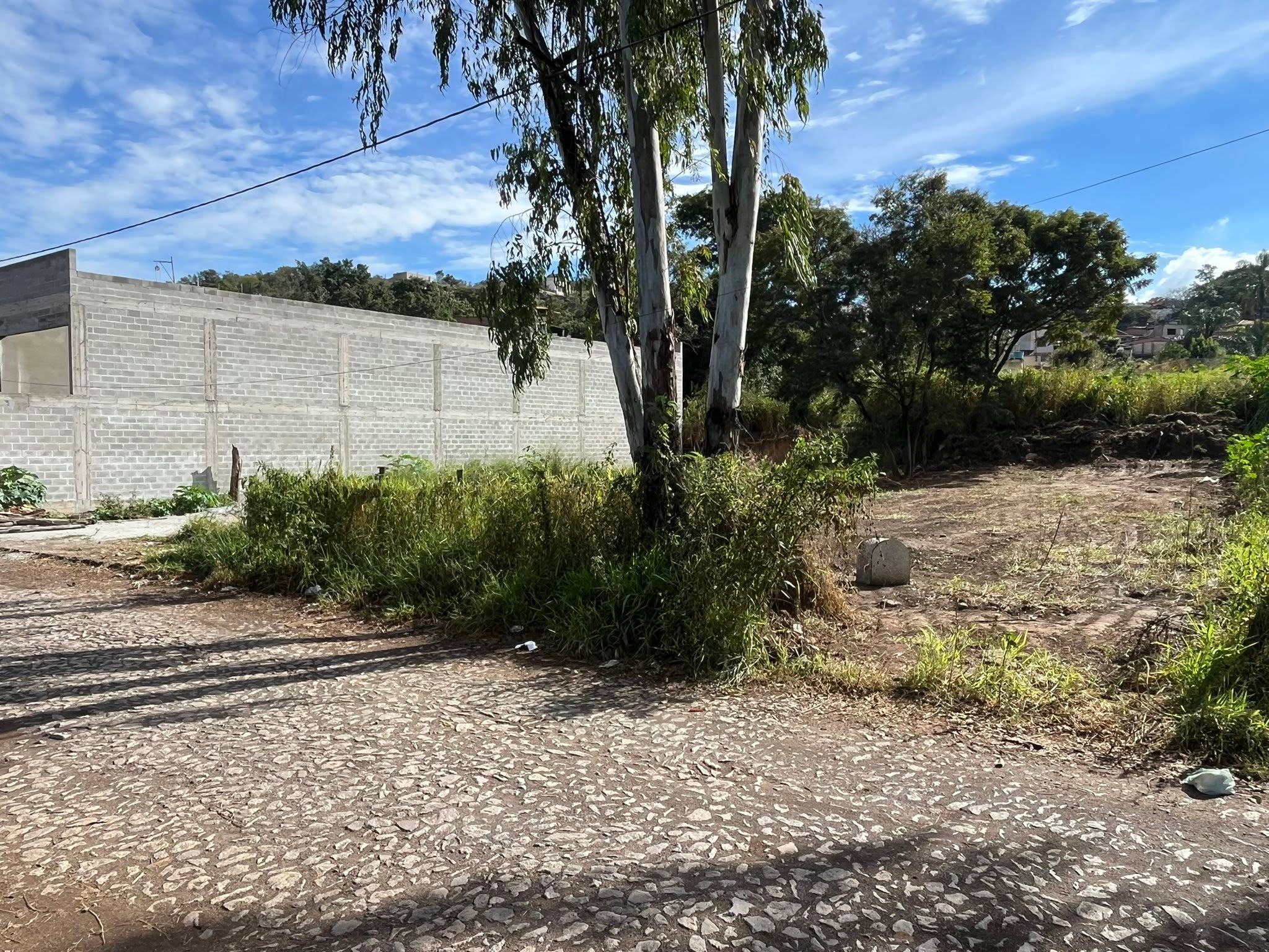 Lote Plano  - foto 5