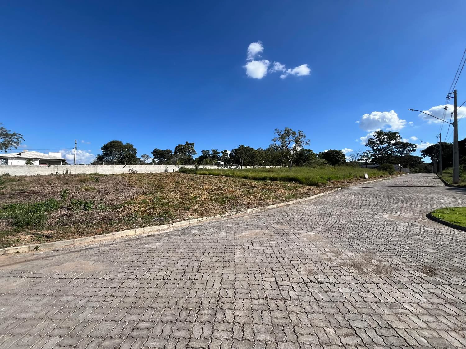 Lote  - foto 2