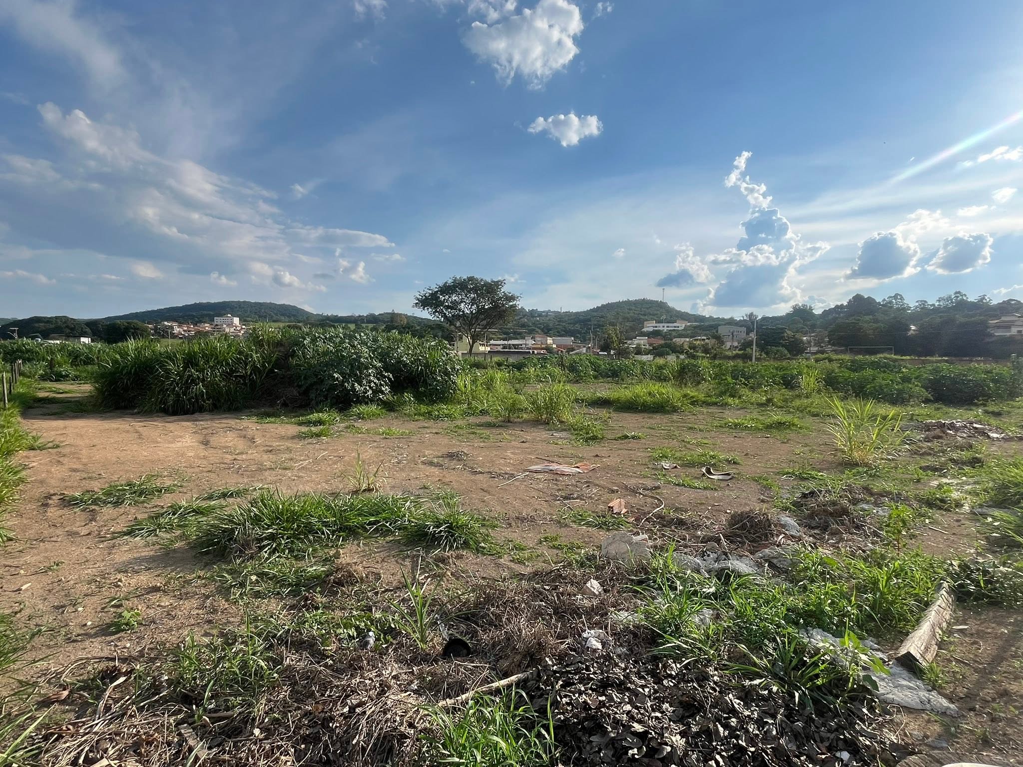 Lote - foto 2