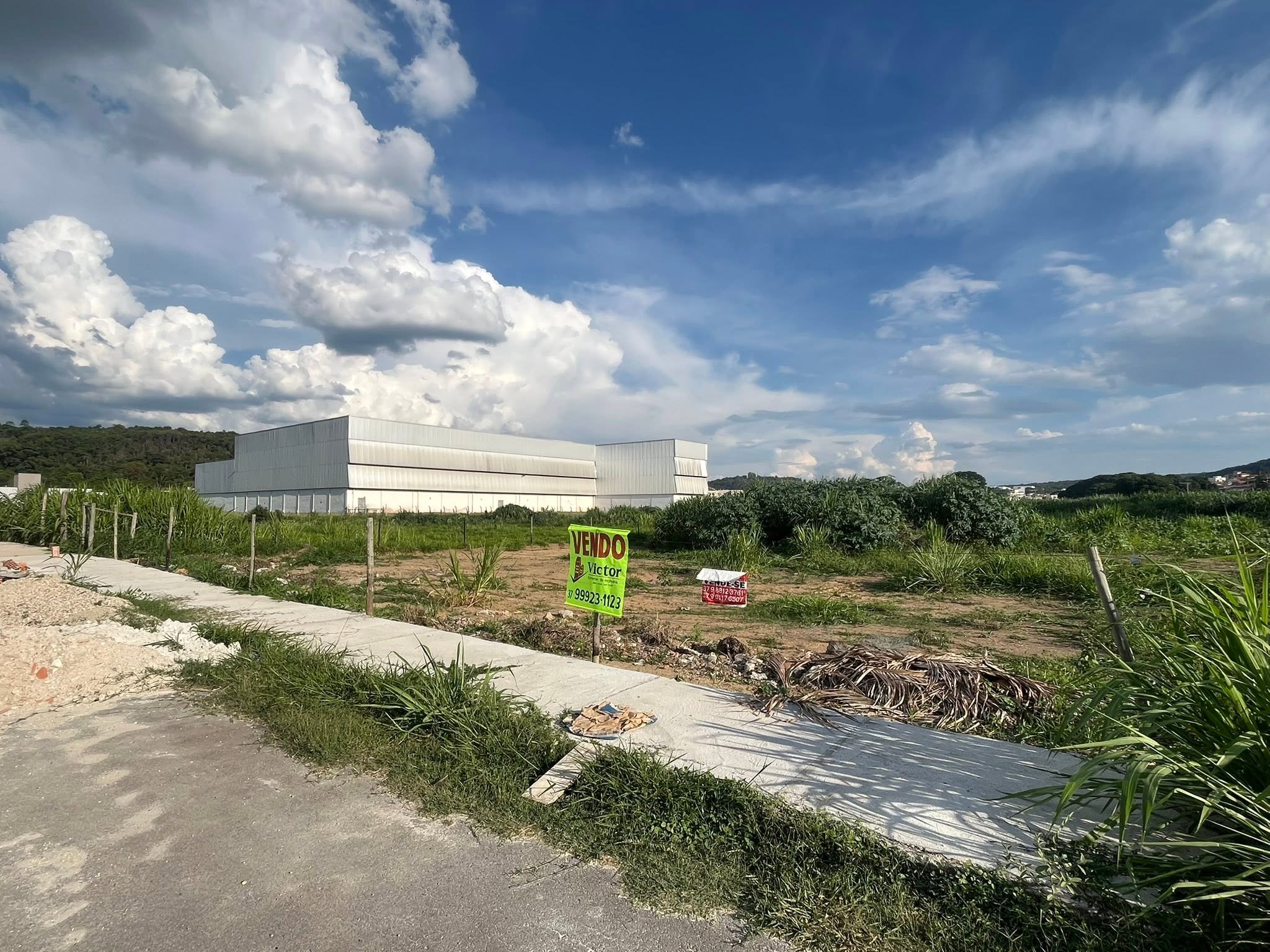 Lote - foto 5