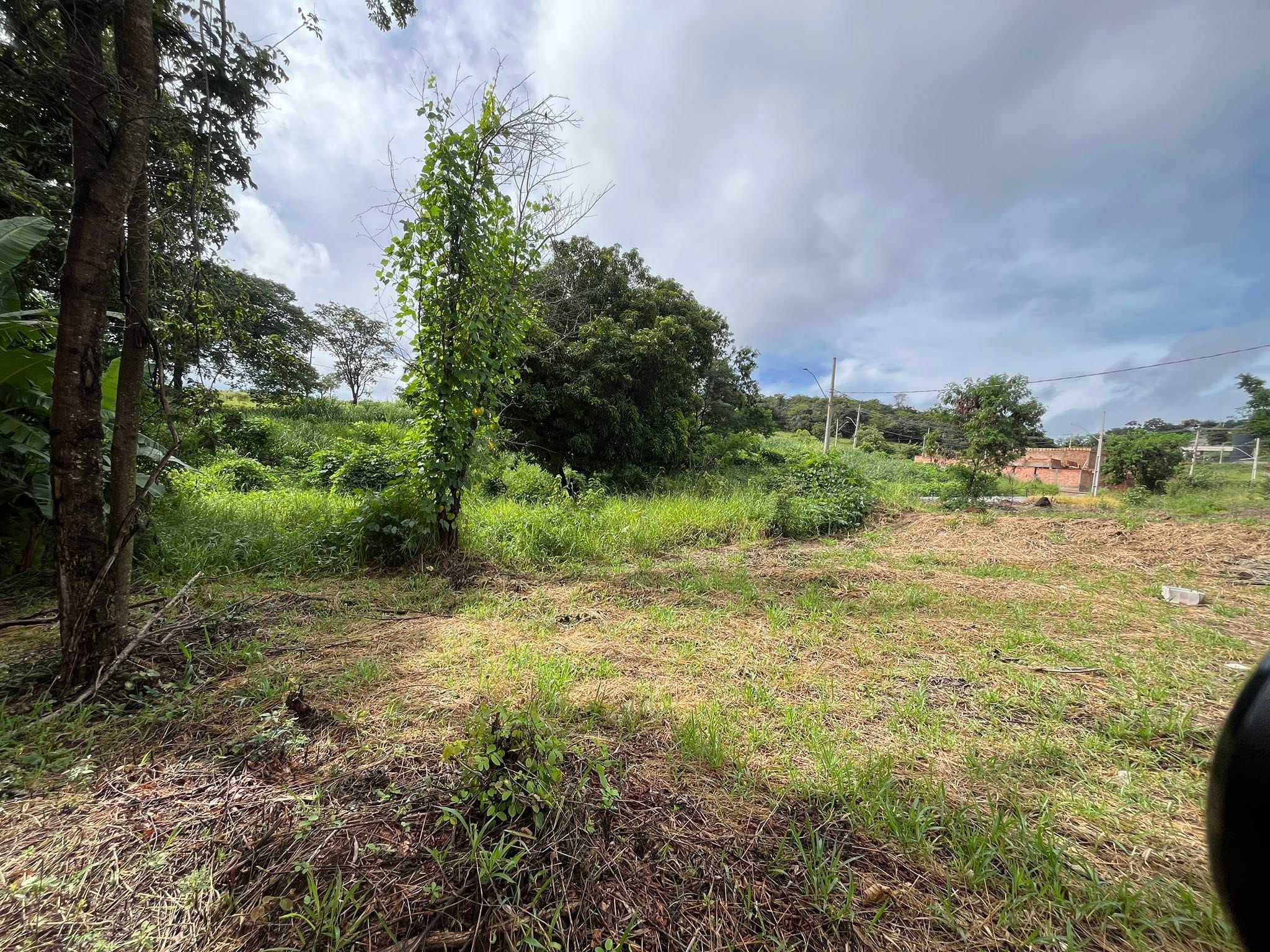 Lote - foto 4