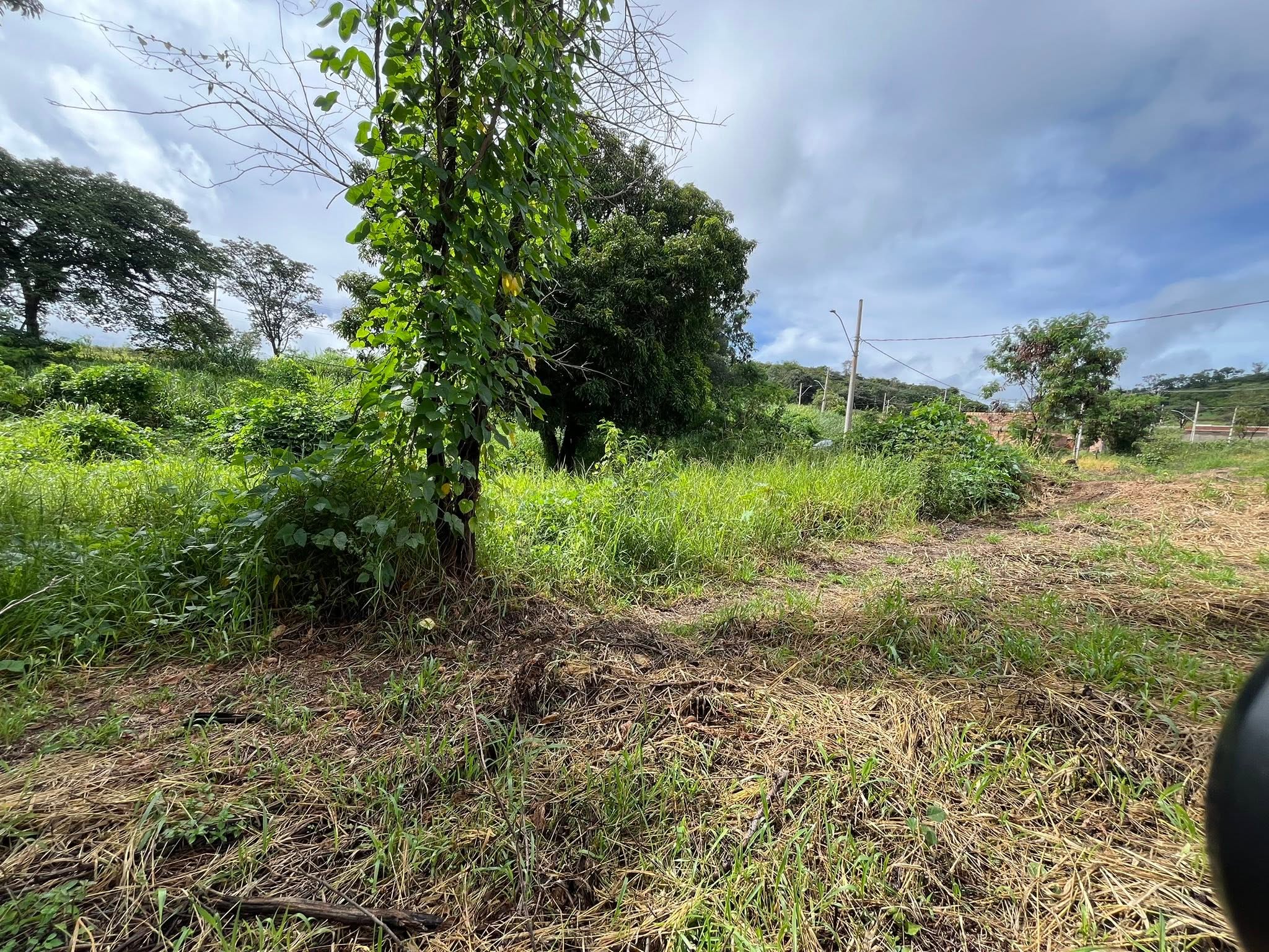 Lote - foto 5