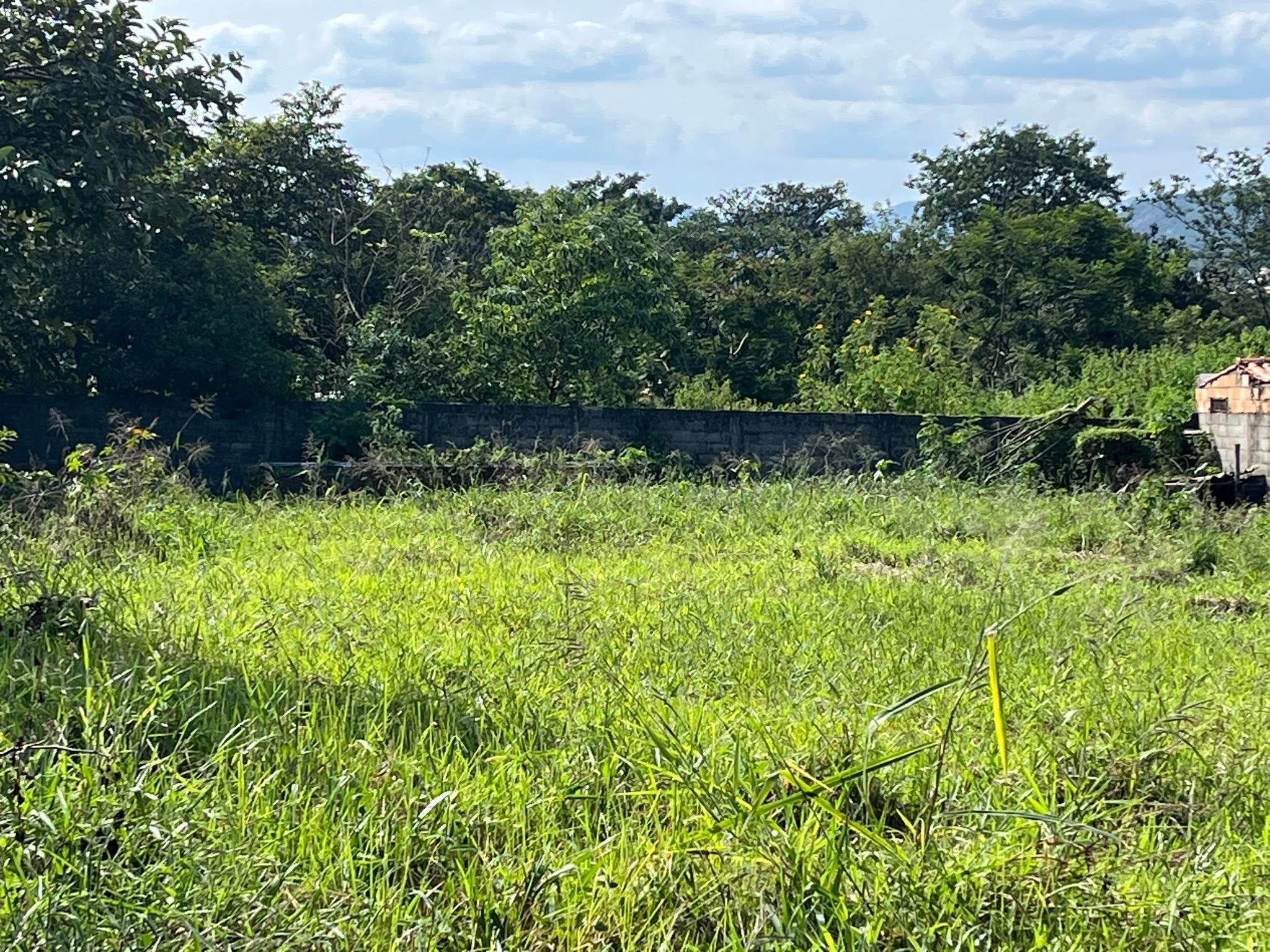 Chácara  - foto 4
