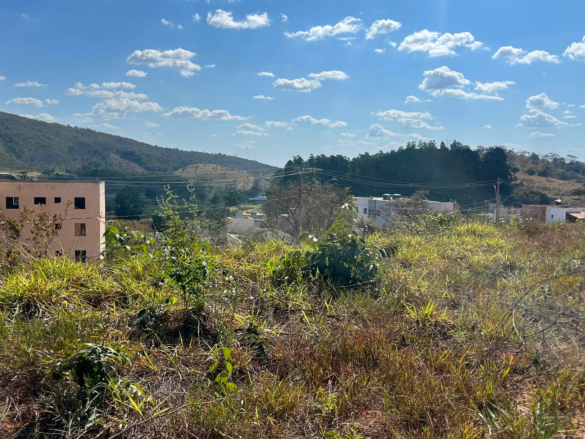 Lote - foto 4