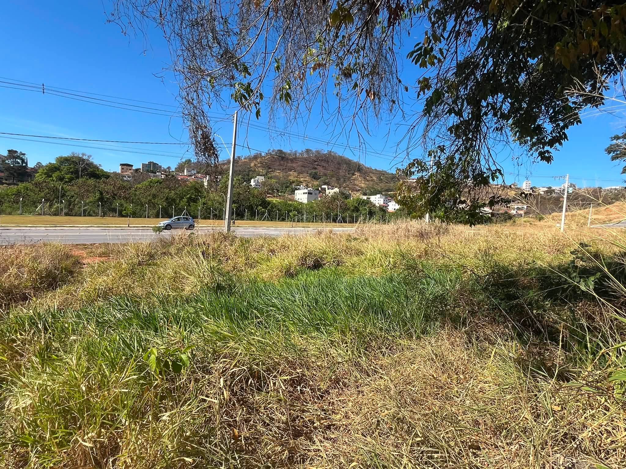 Lote - foto 4