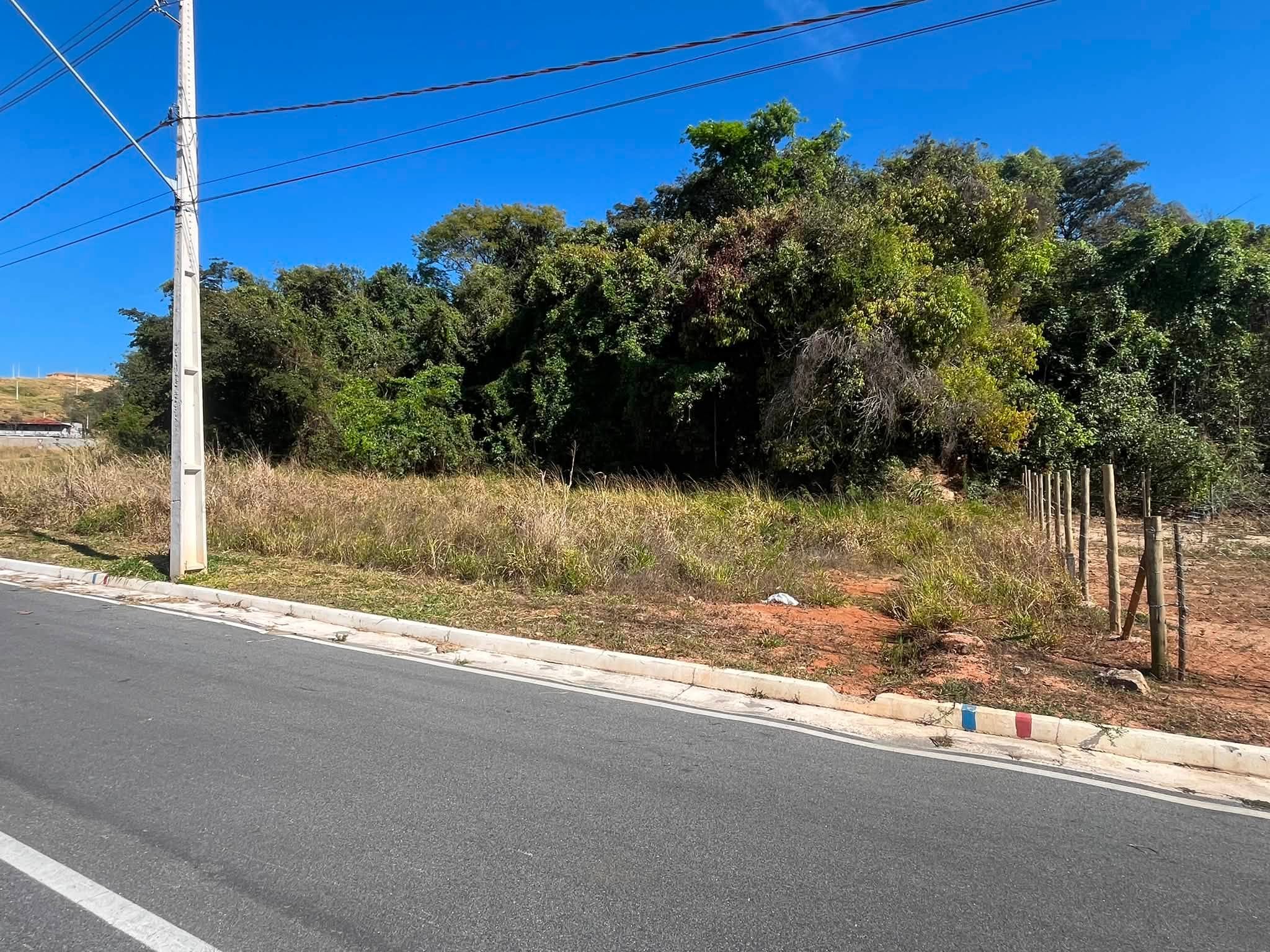 Lote - foto 5