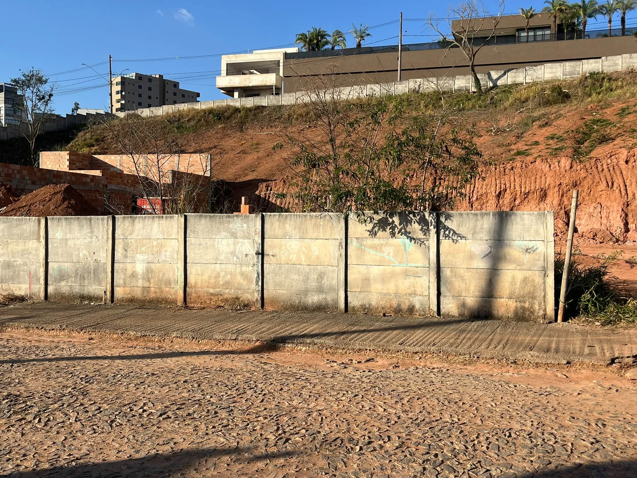 Lote - foto 2