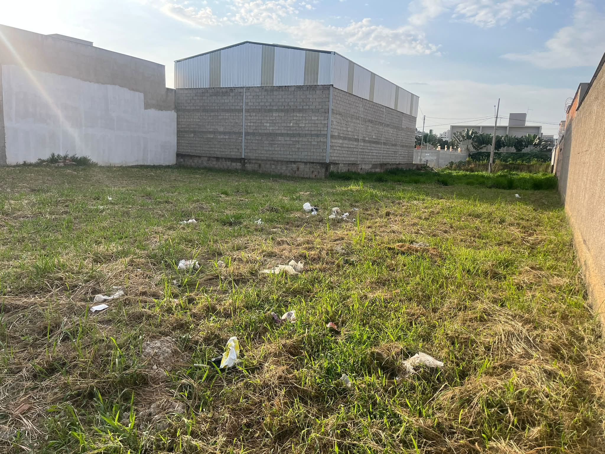 Lote - foto 4